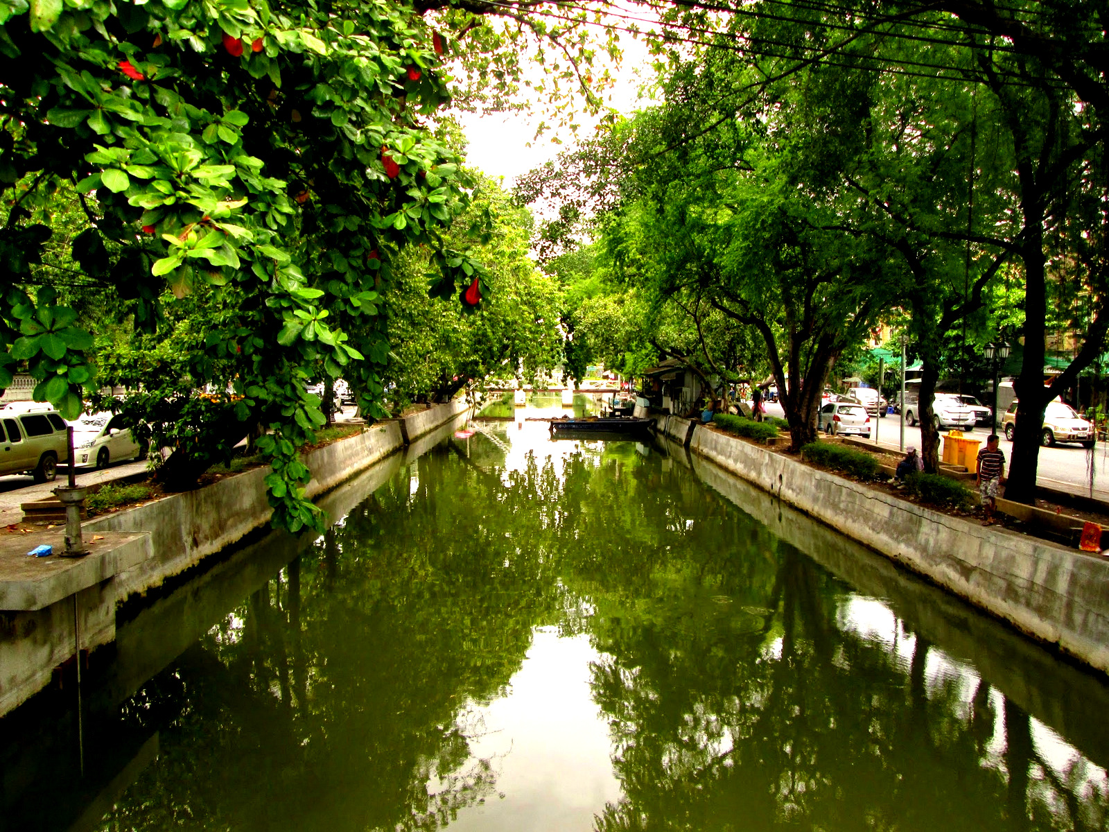 Canal verdoyant à Bangkok