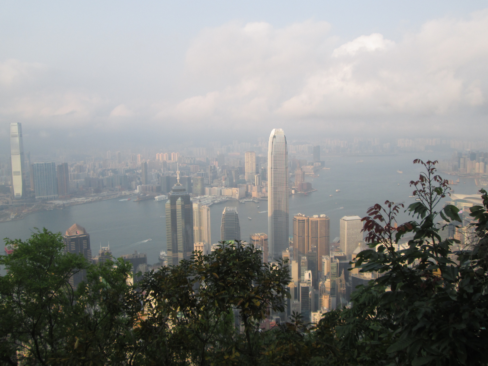 Arbres et immeubles à Hong Kong