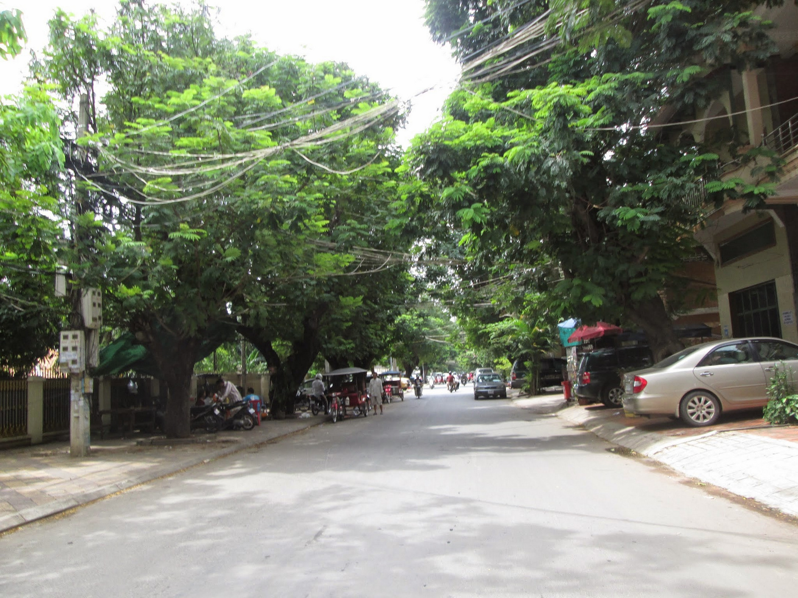 Route arborée à Phnom penh