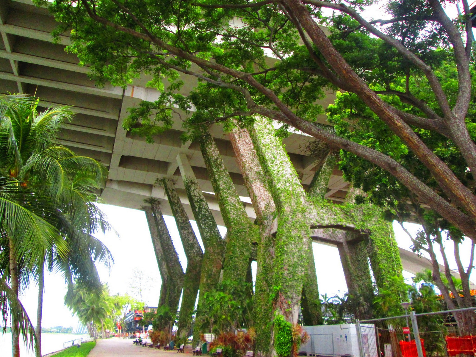 Pont végétalisé à Singapour